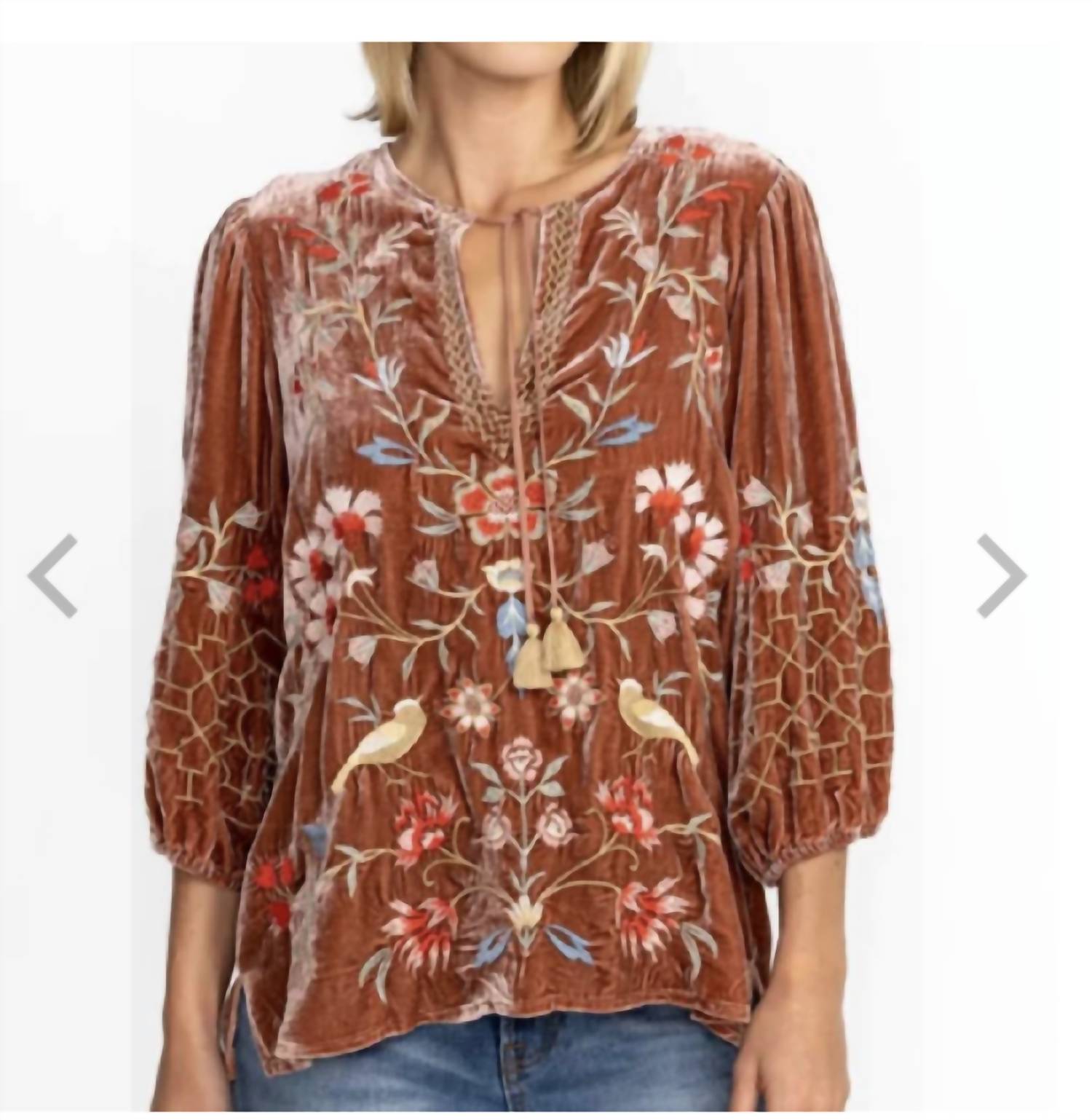 Shop Johnny Was Claria Velvet Blouse In Bns In Brown