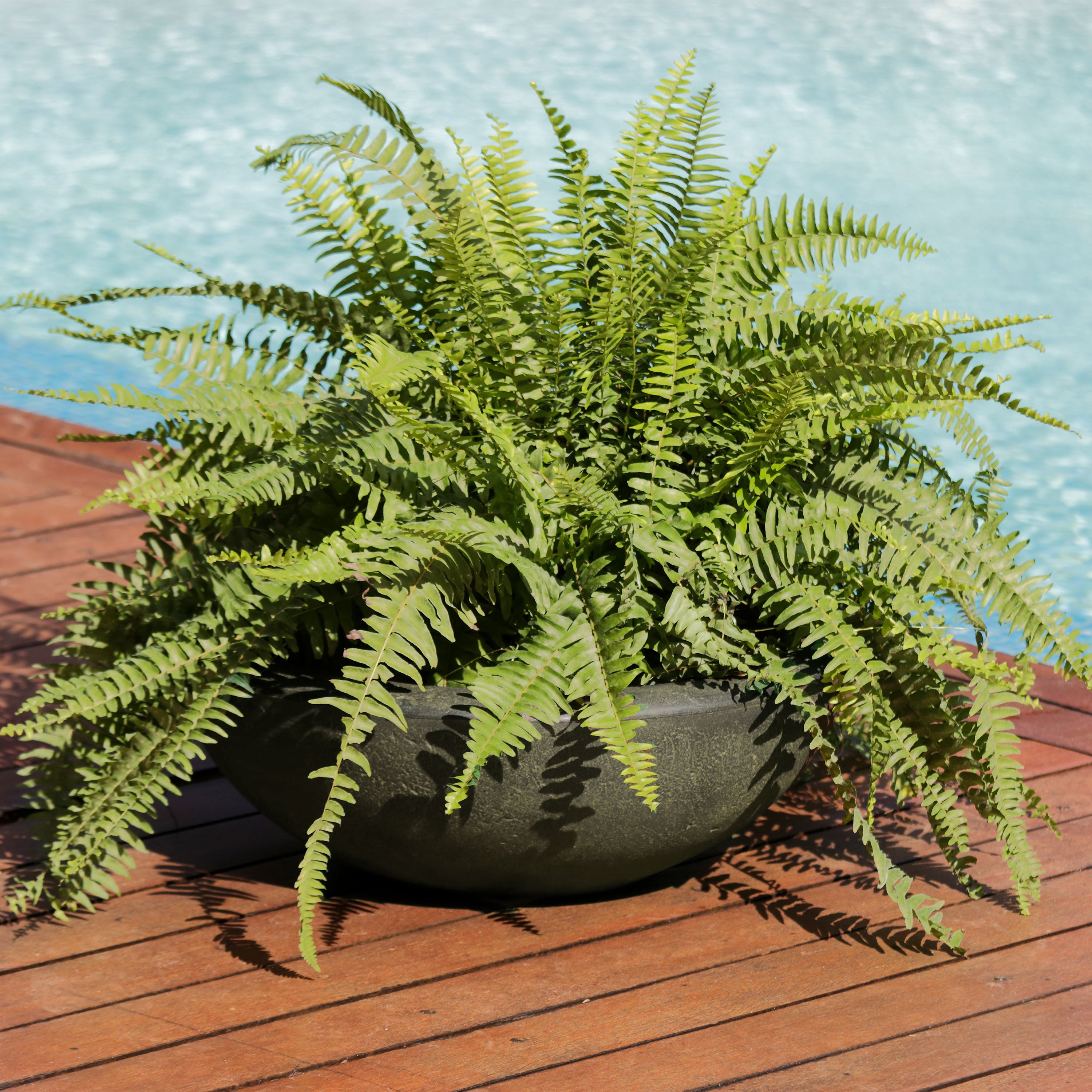 Sunnydaze Weather-Resistant Polyresin Double-Walled Percival Outdoor Flower Pot Planter - 20.75" - Sable - 2pk