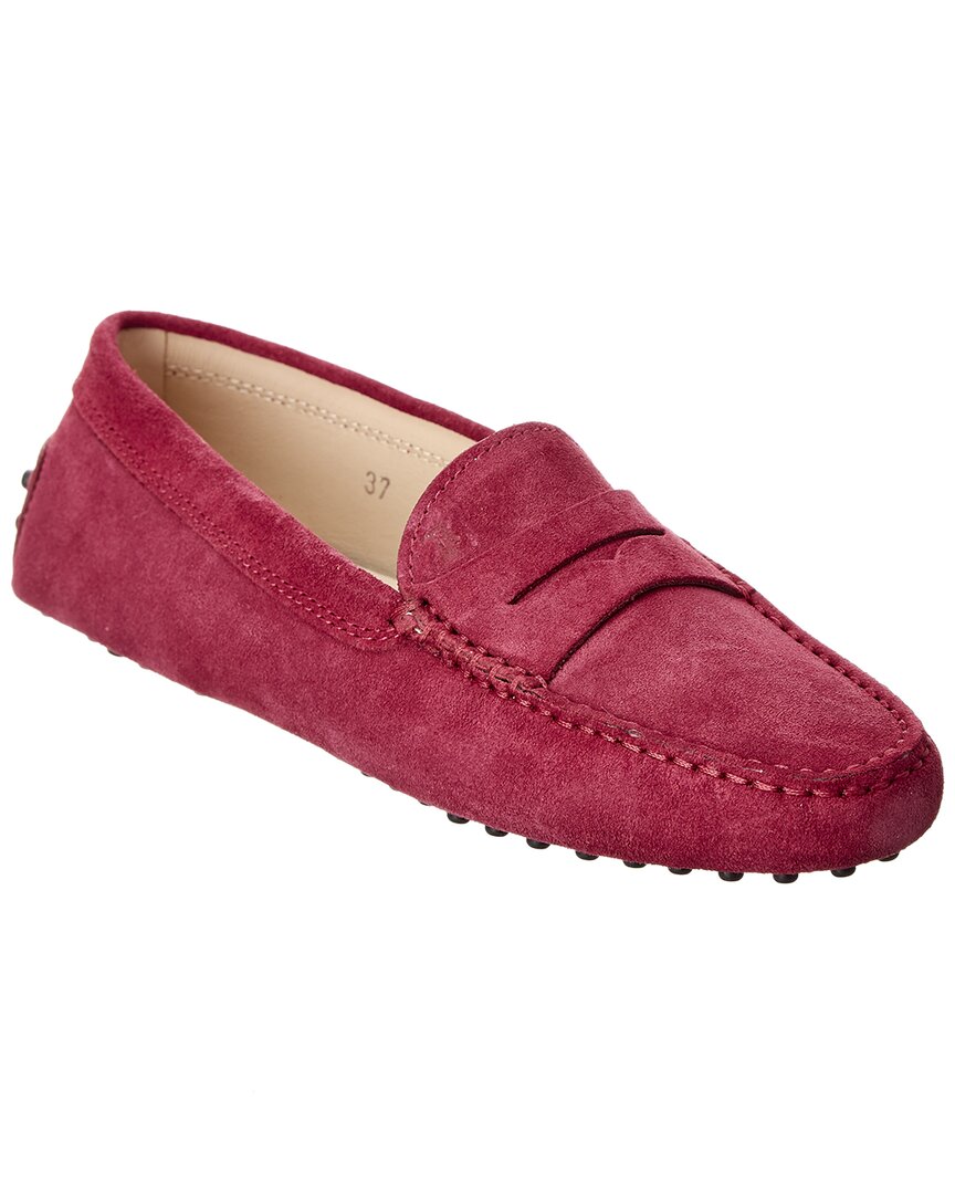 TOD'S TOD’s Gommino Suede Loafer