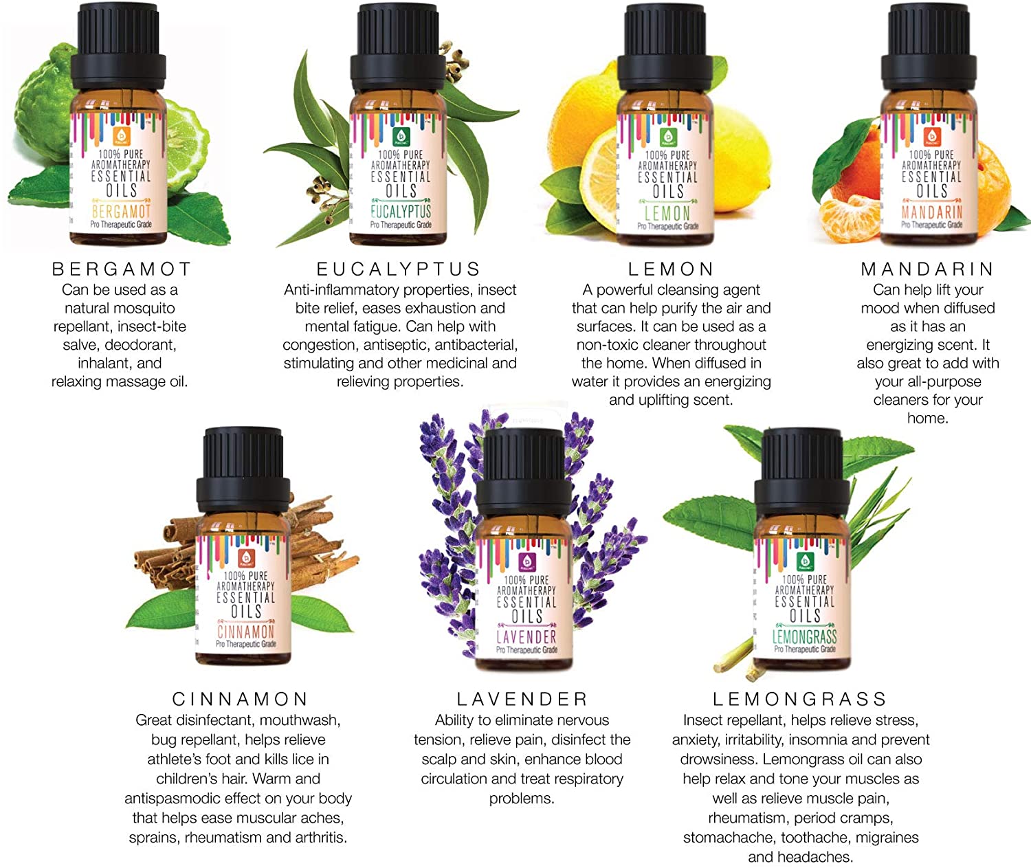 100 Pure Essential Aromatherapy Oils T Set 10ml 14 Pack – Shop