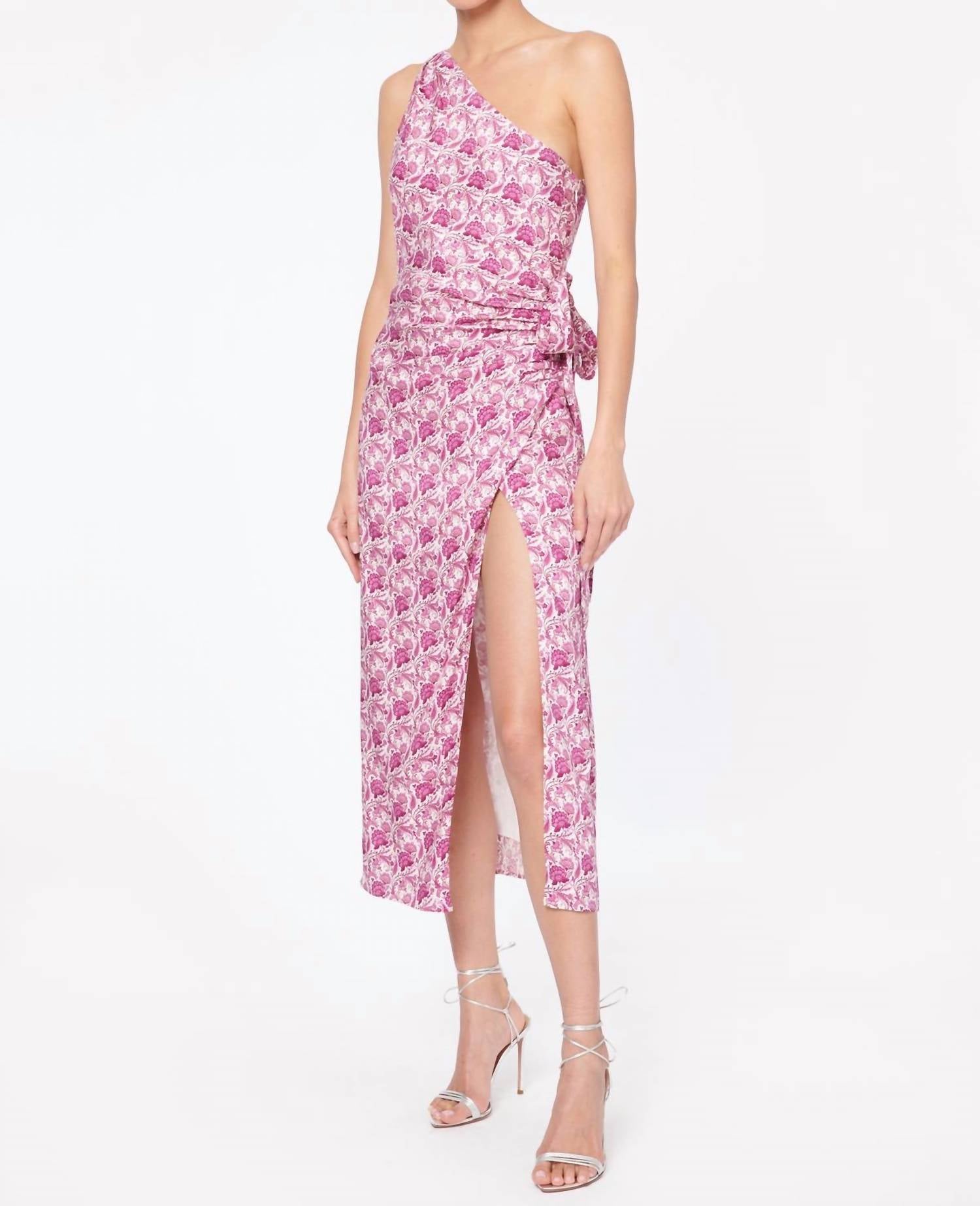 CAMI NYC Nanu Dress in Pansy Paisley