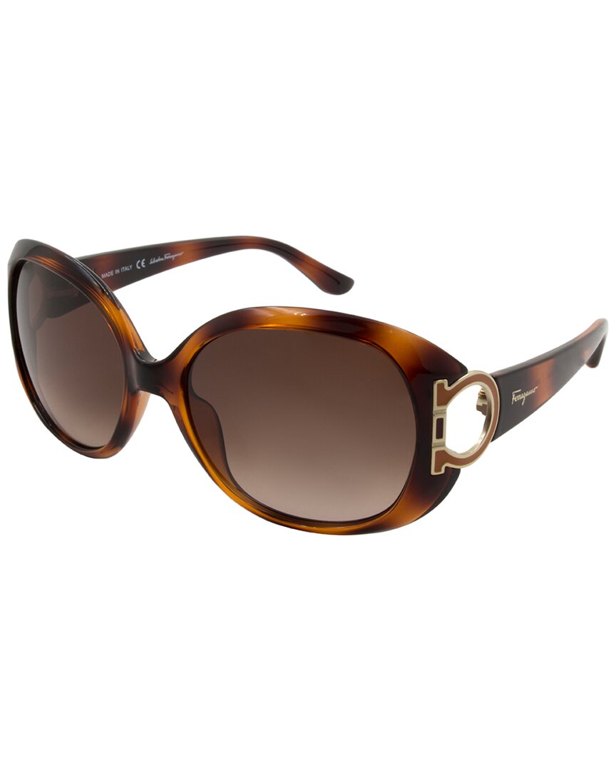 Brown Gradient Oval Ladies Sunglasses Sf668s 238 57 In Dark Tortoise