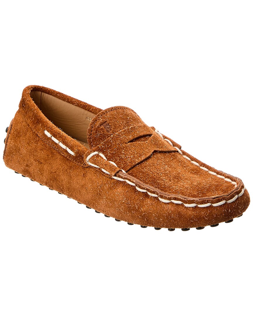 TOD'S TOD’s Gommino Suede Loafer