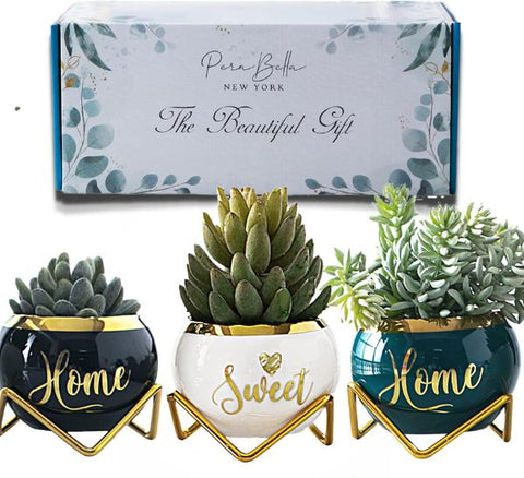 Home Sweet Home Succulent Pots