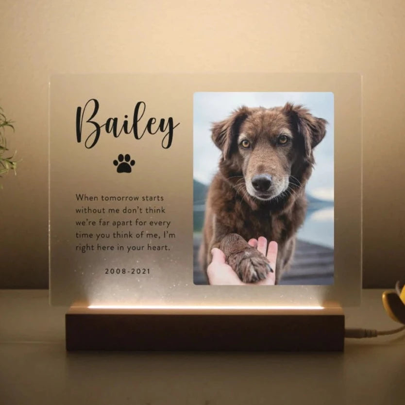 Light Up Pet Memorial Plaque