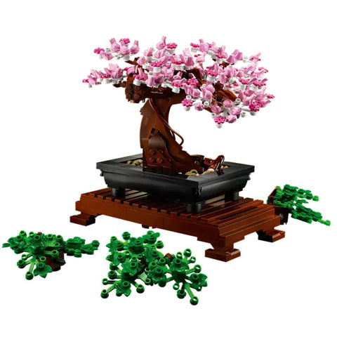 Bonsai Tree