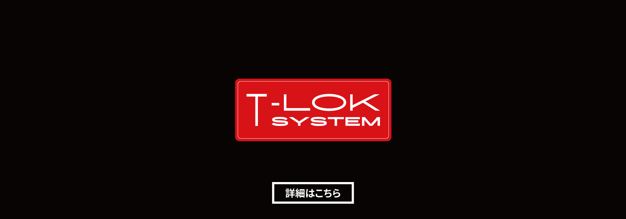 T-LOK SYSTEM IMG