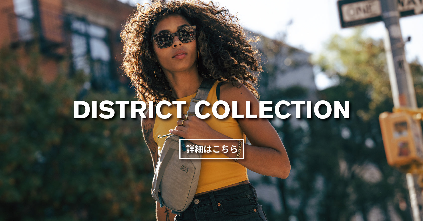 DISTRICT COLLECTION IMG