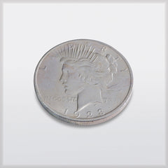RWMM Peace silver dollar AU