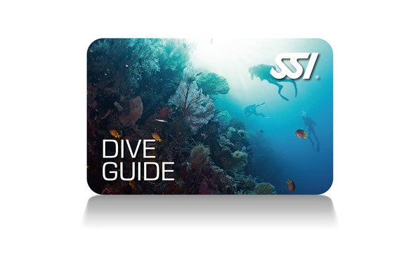 SSI Dive Guide (Non Professional)