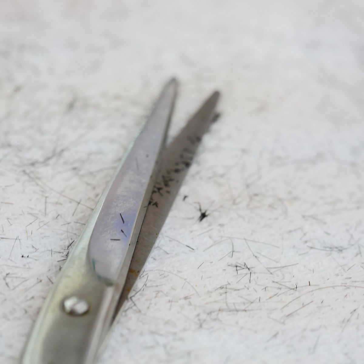 Para brudnych nożyczek do strzyżenia, które wymagają dezynfekcji przed strzyżeniem włosów