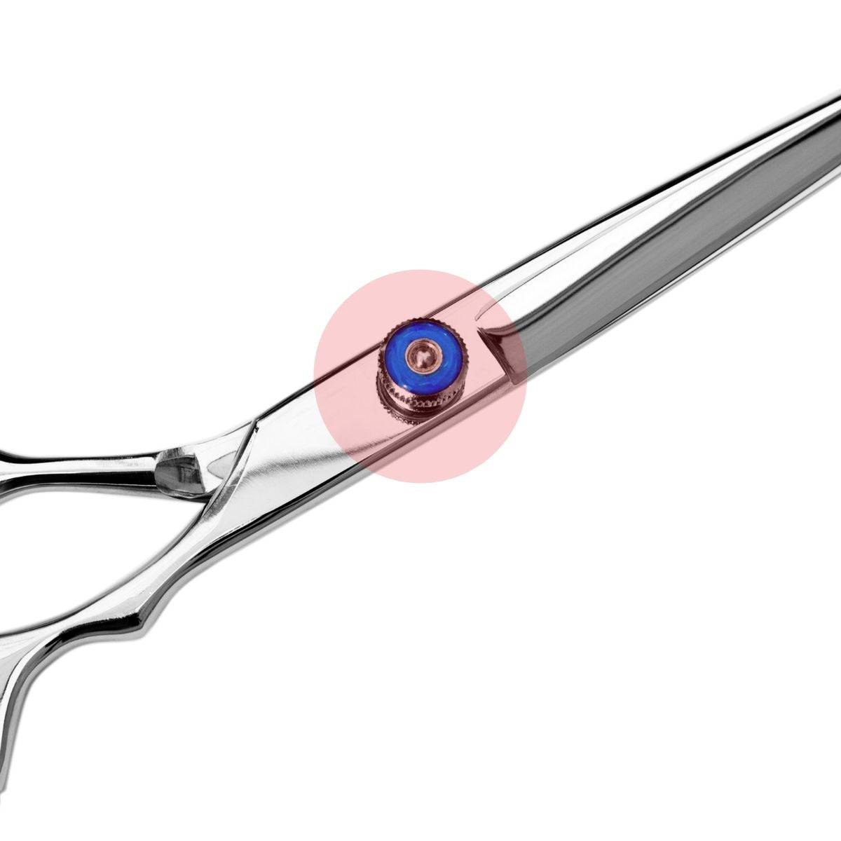 The scissor screw used to adjust tension between hairdressing shear blades