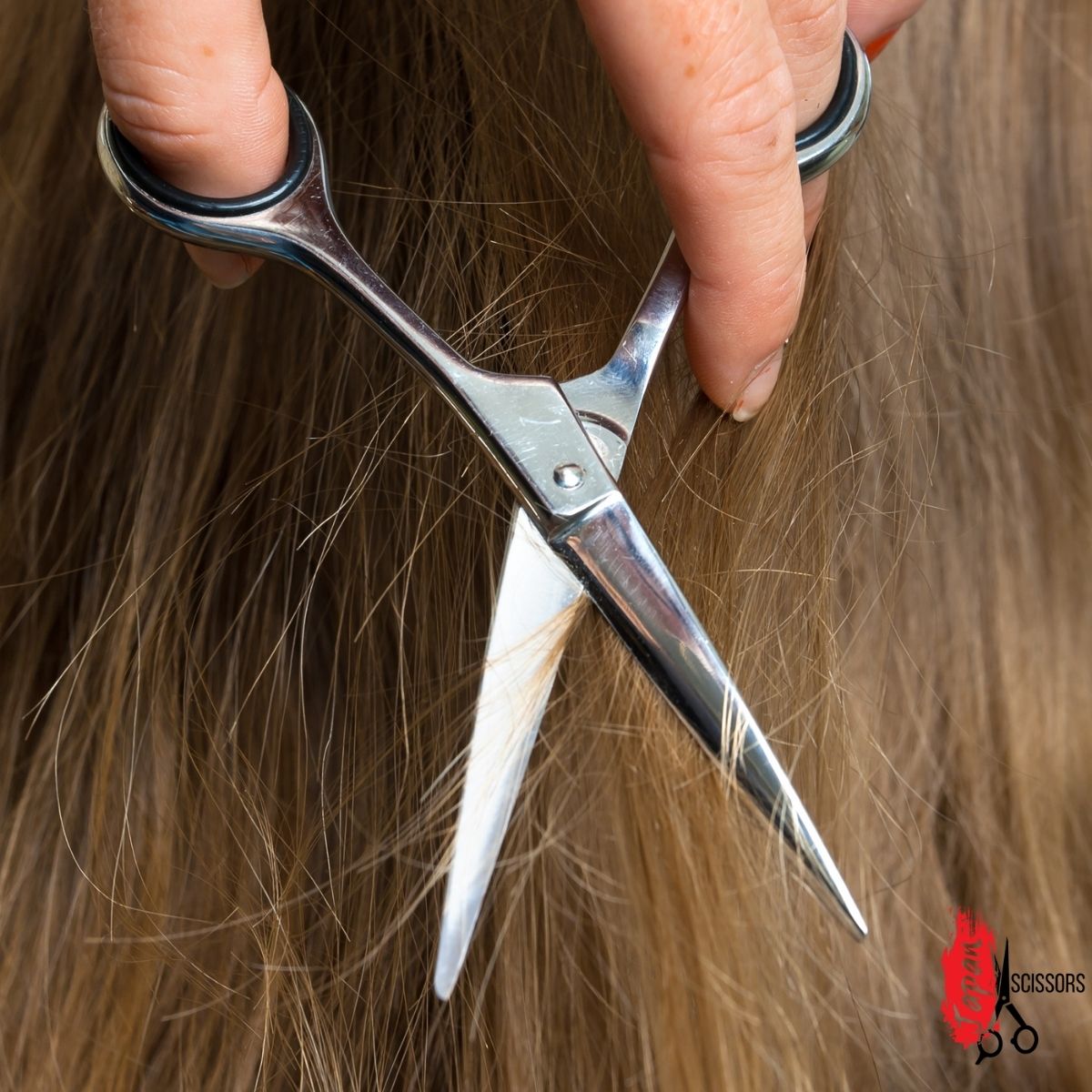The hair cutting scissor blades closeup