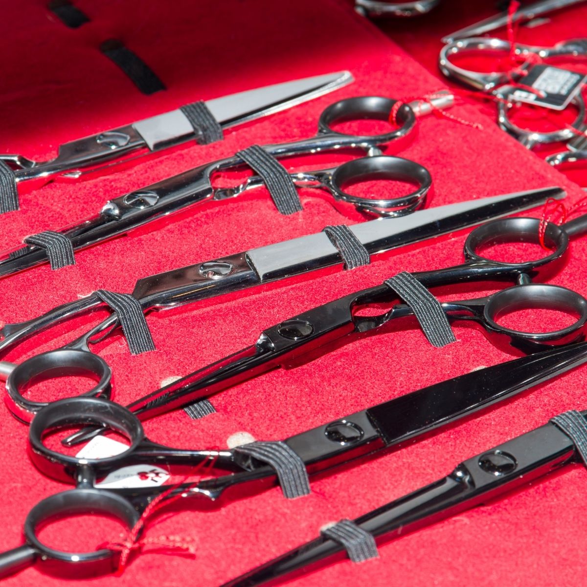 A collection of Japanese and German hairdressing scissors in a salon