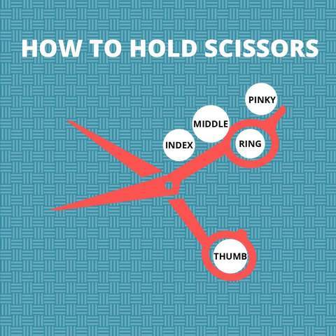 The best way to hold a pair of hair cutting scissors