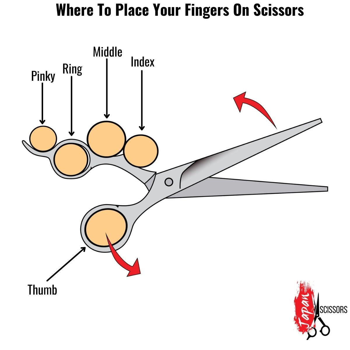 An image showing how to hold your hair thinning shears, and where to place your fingers