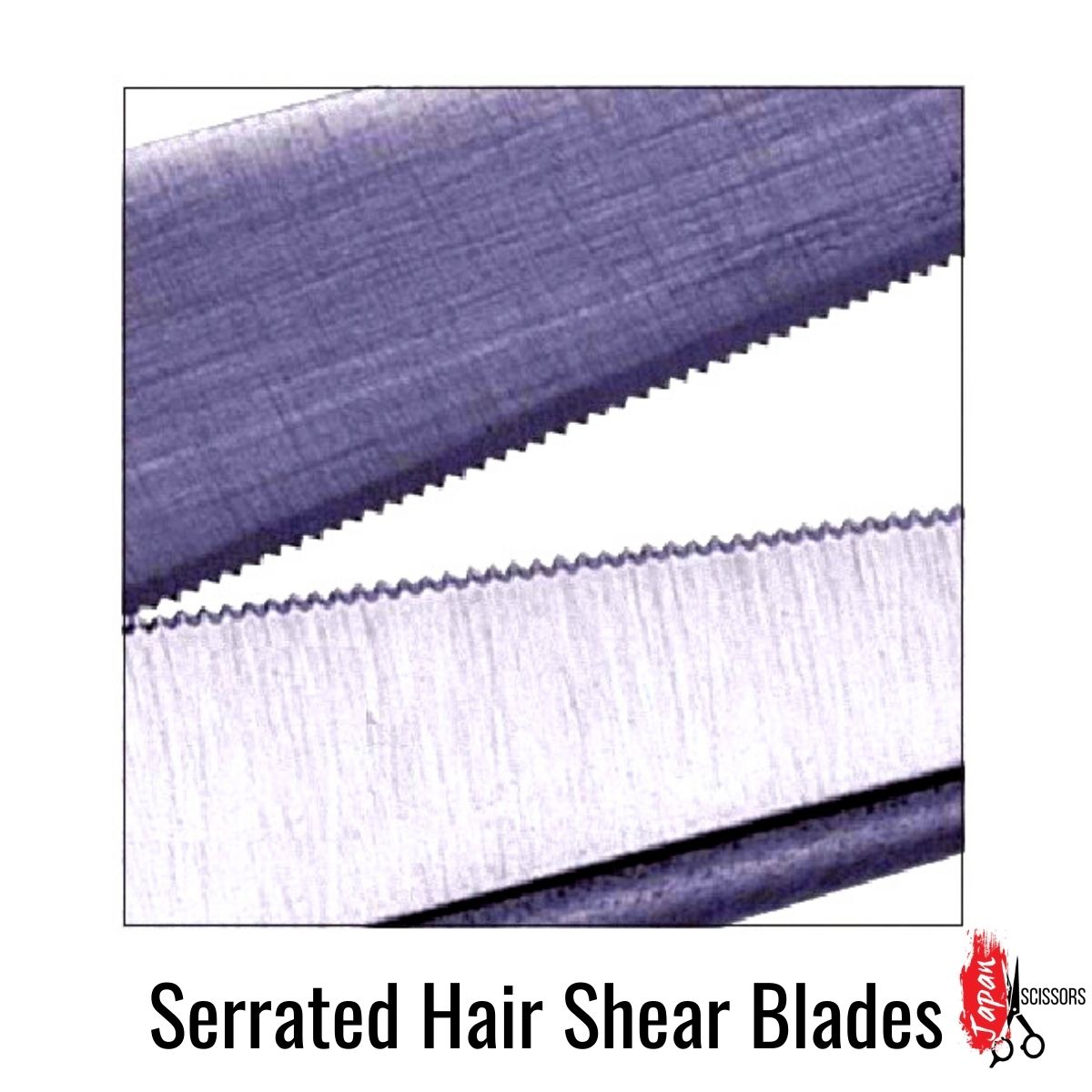 A closeup of a serrated hair cutting shear blade for beginners, apprentices and hairstylists