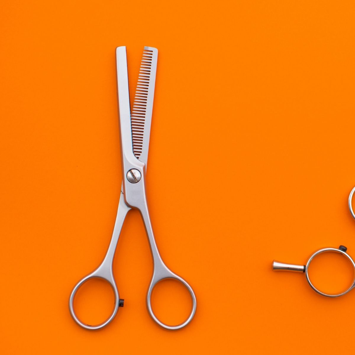 Hair thinning shears on an orange background