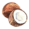 COCONUT OIL