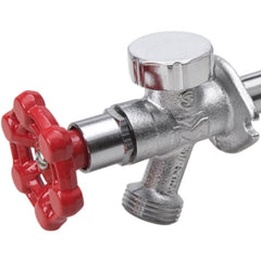 BK Muller Anti-Siphon Faucet With red handle