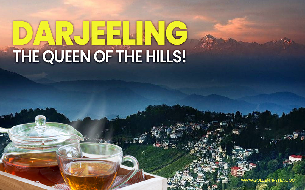 Darjeeling Tea Estates