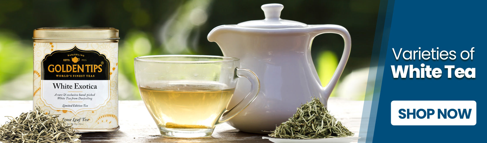 shop now all about white teas