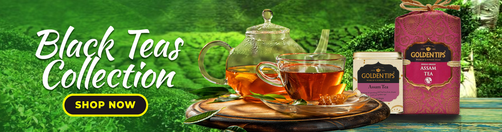 World Best green Teas