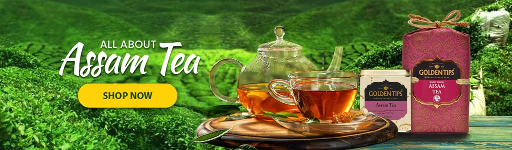 Steaming black tea in glass - Golden Tips Tea (India)