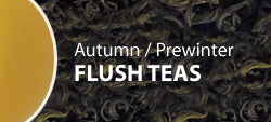 Autumn-Prewinter Flush Teas