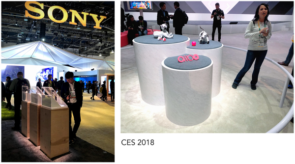 Sony CES 2019 Trade Show Displays