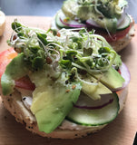 photo of bagel with Kaiware Sprouts
