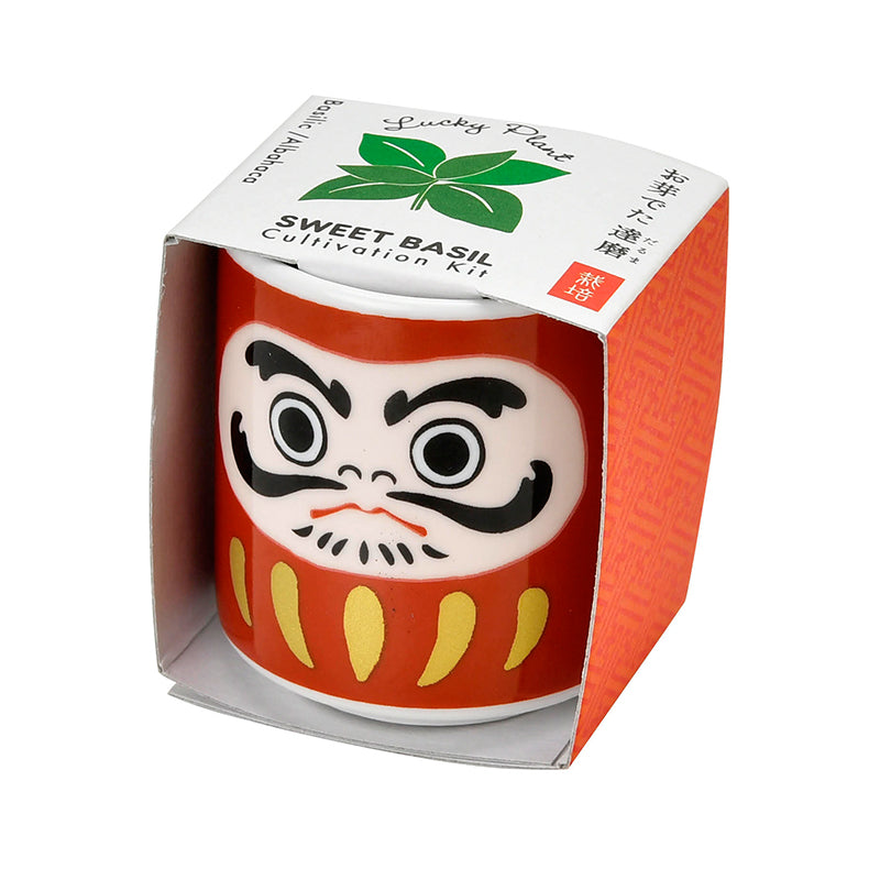 Daruma Plant Kit