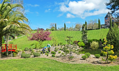 Paula Kelly and Chris Donaldson working in the oriental garden.