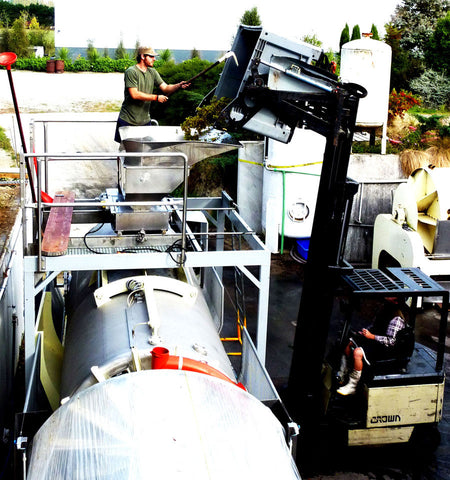 Riesling grapes being loaded into a press at Pegasus Bay