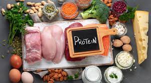 Protein Foods For Weight Loss