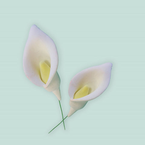 FMM Sugarcraft - Arum / Calla Lily Cutter Set