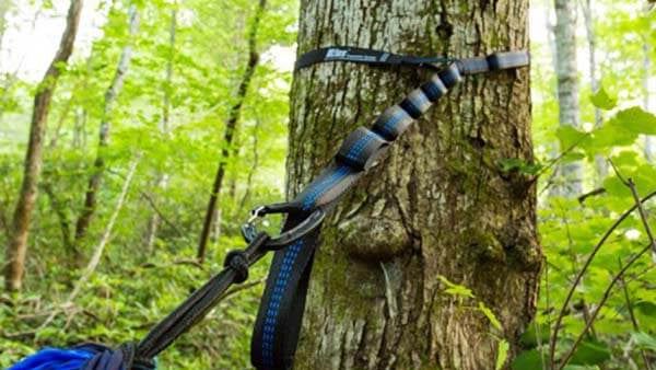 FIGURE OUT HOW TO TIE YOUR HAMMOCK TO THE TREE CORRECTLY