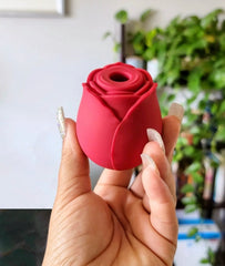 Brown hand holding red rose adult toy
