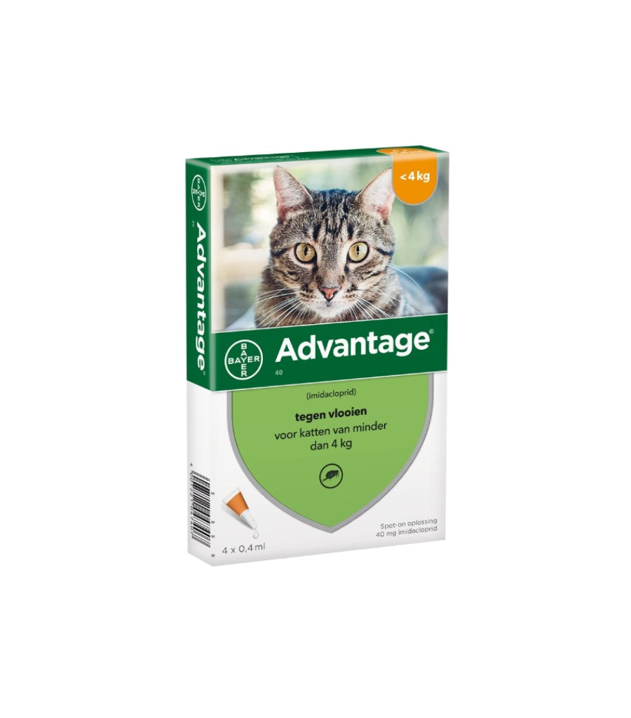 recorder Me Kaal ADVATAGE - Spot-On 4 Pipet Anti-Vlo Middel voor katten - Dierenspeciaalzaak  & Hondenboetiek Het Vachtje