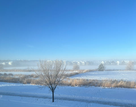 a view of houses and trees encased in frozen fog