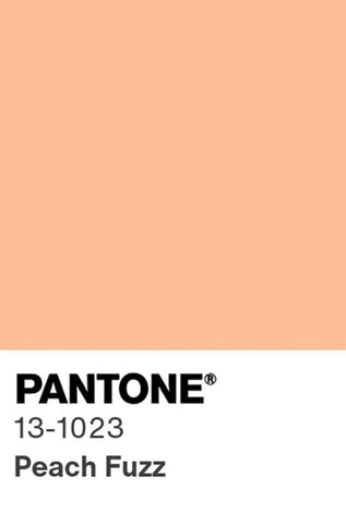 An image of the Pantone color of the year 2024, Peach Fuzz