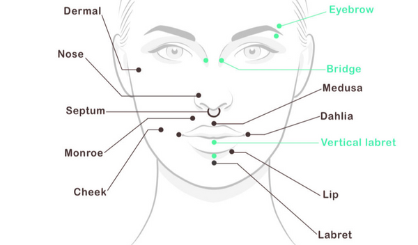 schéma des types de piercings