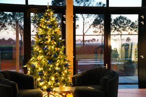 Huur Een Kerstboom