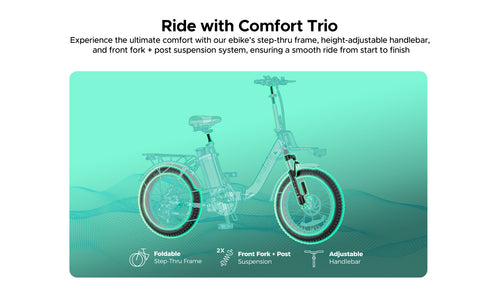 L20-2.0 confortable ride ebike 