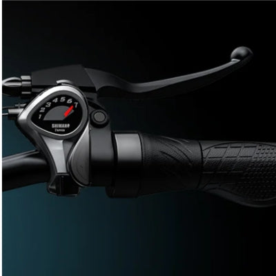 L20 Wrist Throttle ebike backtomodern