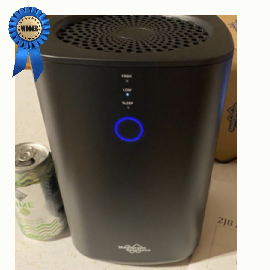 H13 True HEPA Air Purifier user review by Lucy 