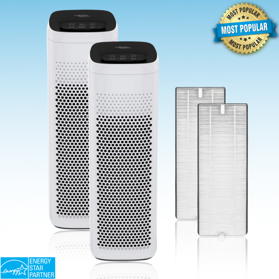 H13 True HEPA Air Purifier buy 2 and save most popular option 