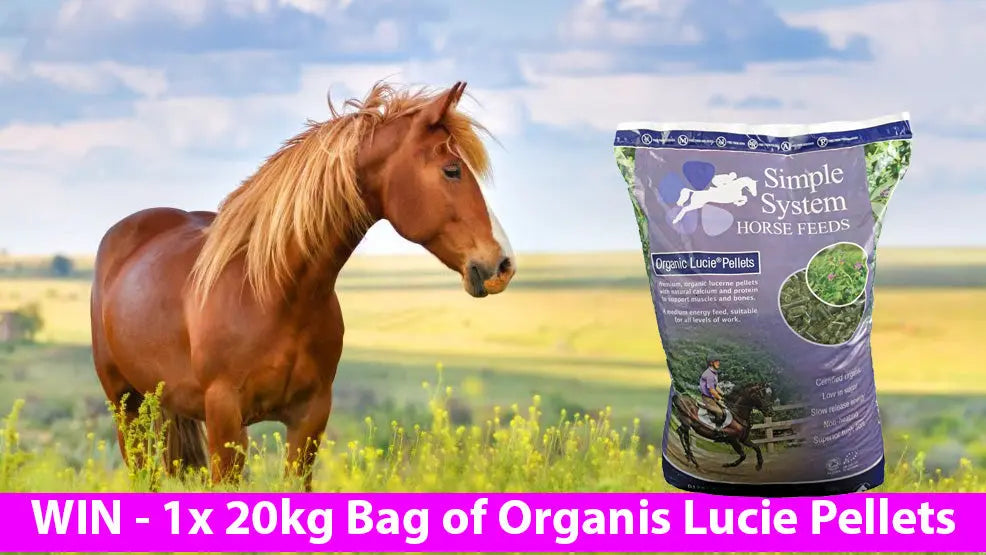 COMPETITION-WIN-a-20kg-Bag-of-Simple-System-Lucie-Pellets Chestnut Mill