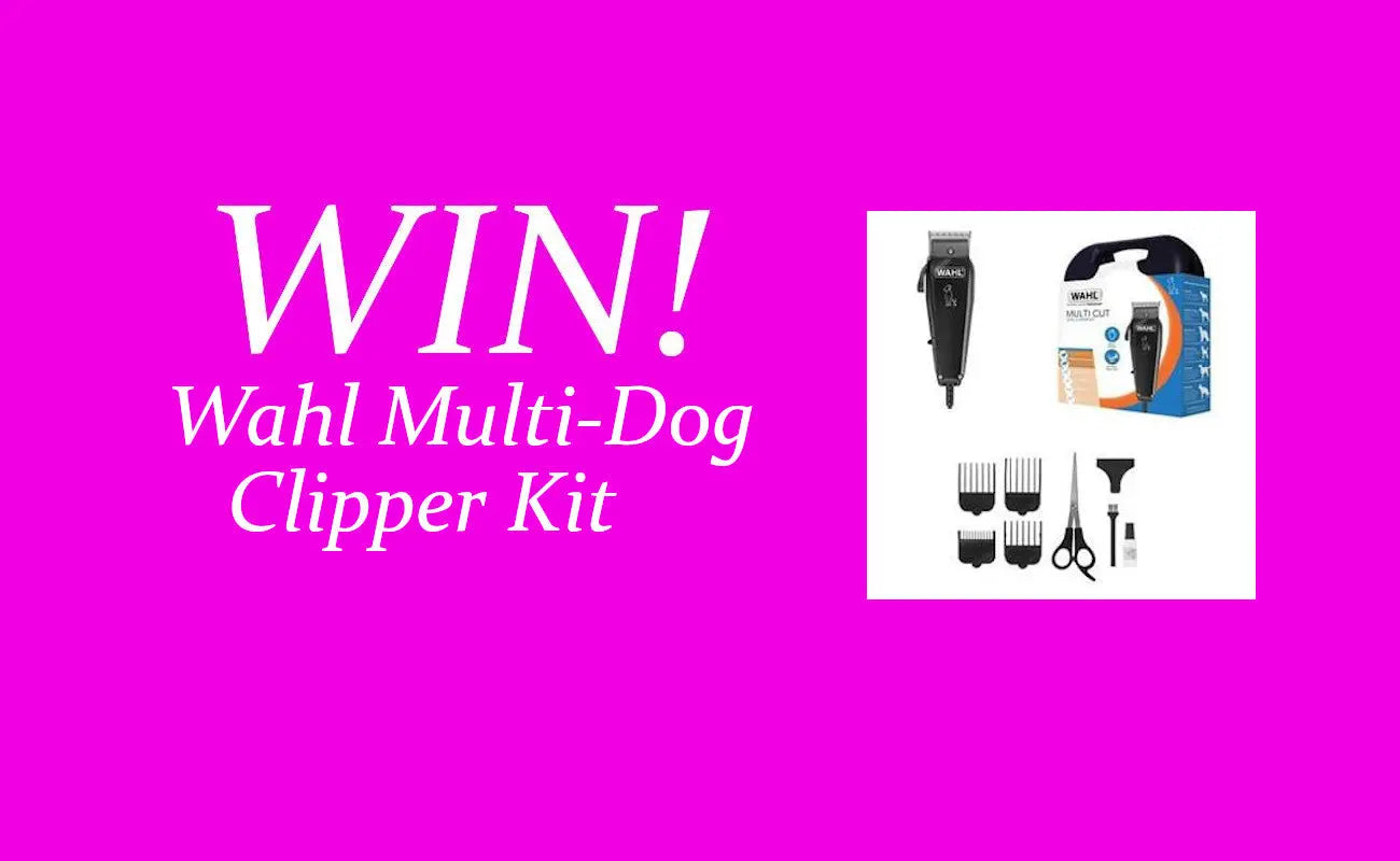 COMPETITION-Win-a-Wahl-Multi-Cut-Dog-Clipper-Kit Chestnut Mill