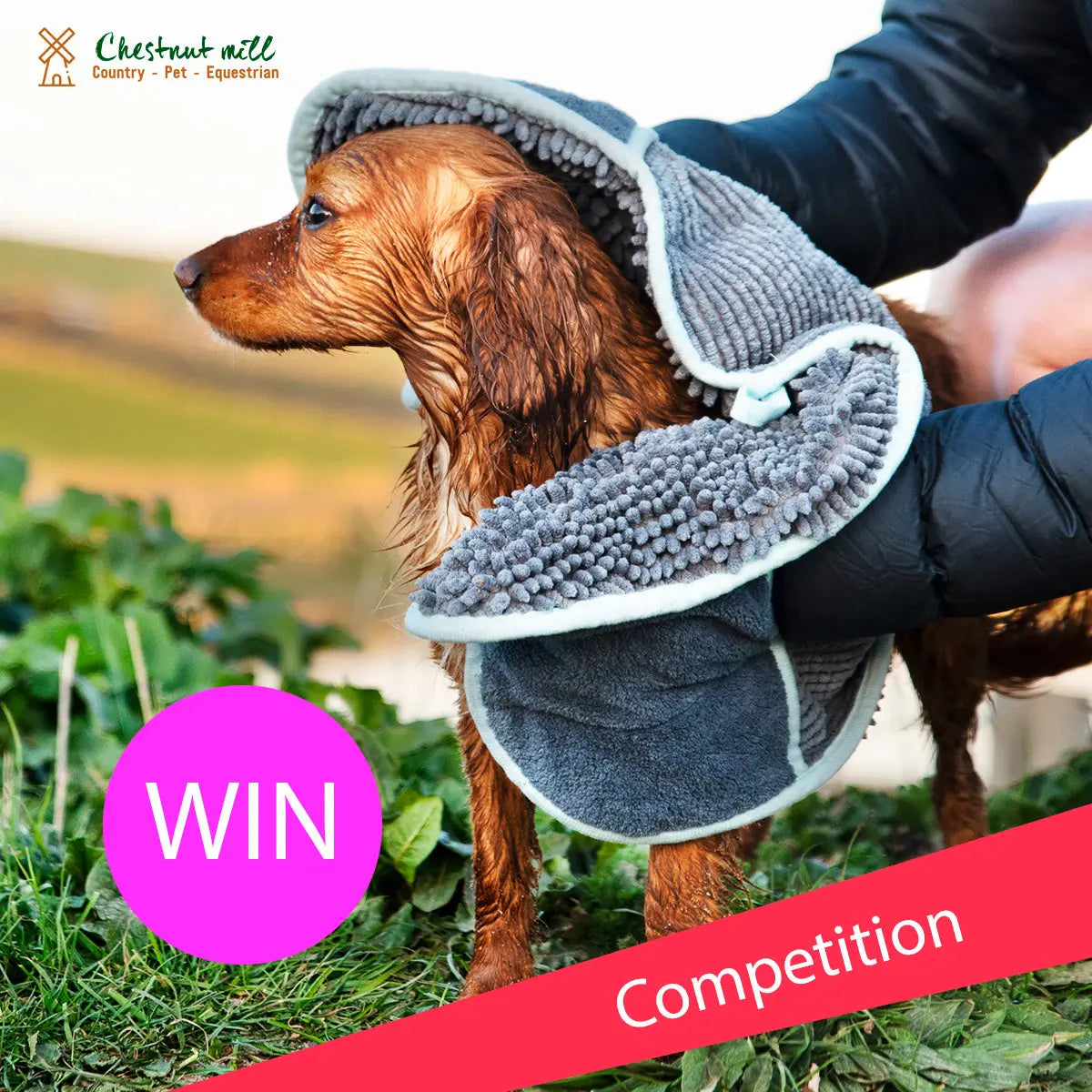 Competition-Win-a-brand-new-Henry-Wagg-Pet-Noodle-Drying-Glove-Towel Chestnut Mill